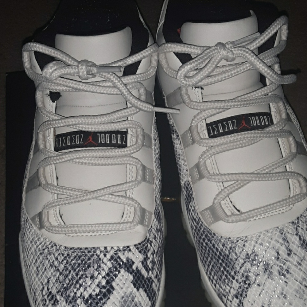 Men's jordan 11s _Snake Skin